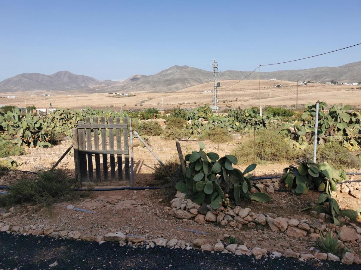 Tefía Villa Cecilio מראה חיצוני תמונה